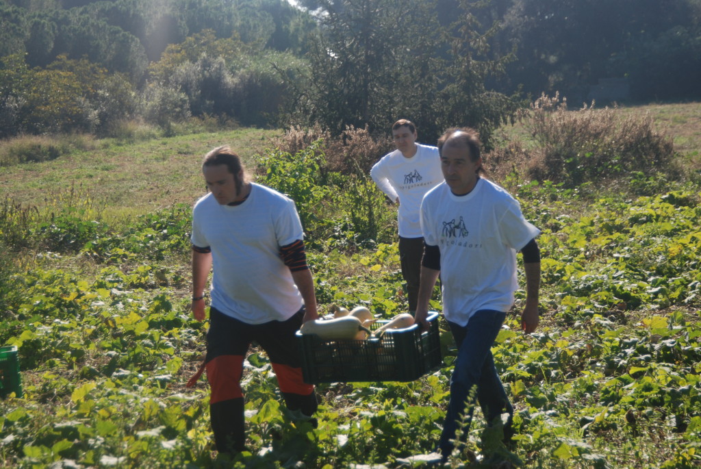 The Catalonian association fighting food waste | The Switchers