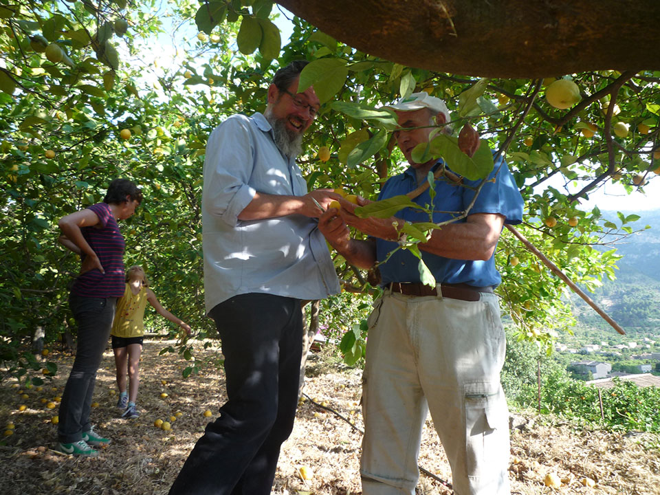 When life gives you surplus lemons, make lemonade | The Switchers