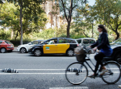 Zicla Zebra with bicycle