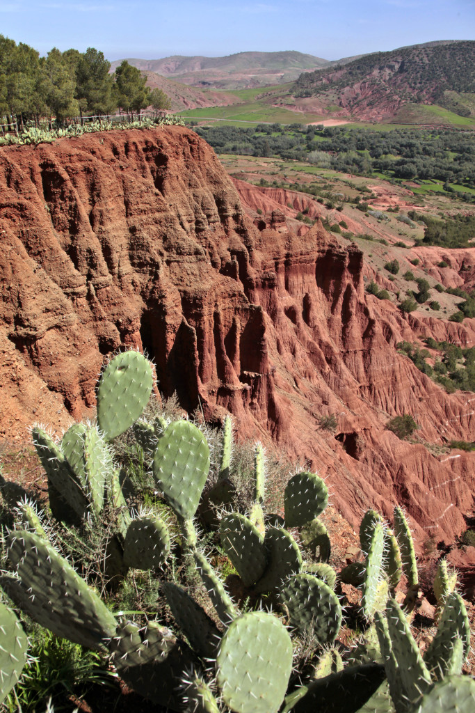 A unique ecotourism experience in Morocco’s Atlas Mountains | The Switchers