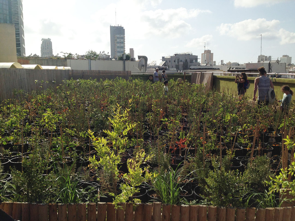 Israel’s first eco-friendly shopping center | The Switchers