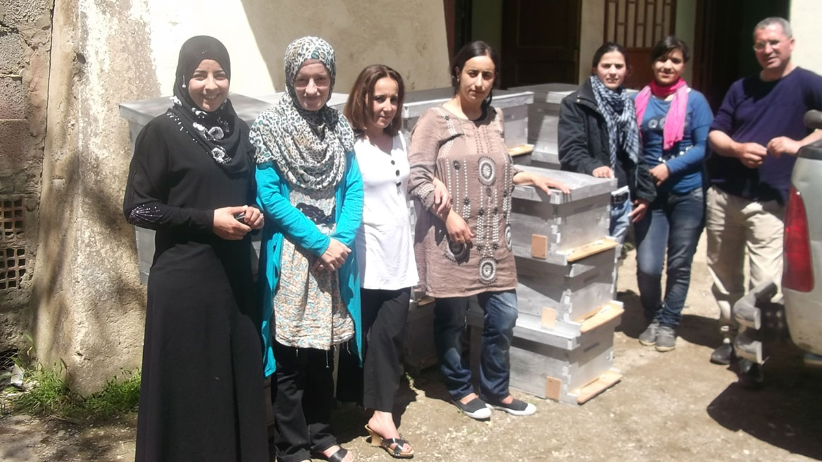 An ecological beekeeping project high in the Algerian mountains | The Switchers