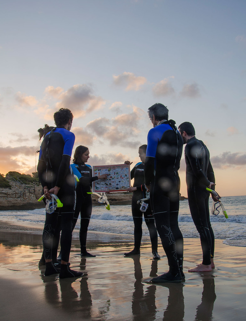 Protecting marine life through responsible tourism in Spain’s L’Ametlla de Mar | The Switchers