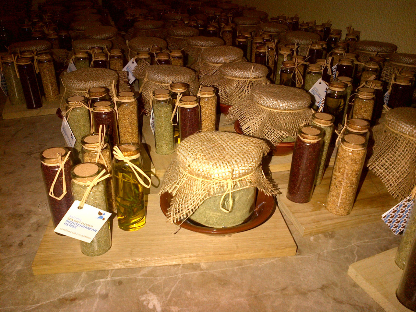 Une ONG dédiée à la protection de la biodiversité au Liban | The Switchers