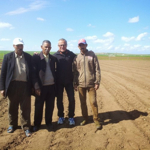 The production of quinoa, a nutritious and sustainable crop native to the Andes, crosses the ocean and settles in Morocco. | The Switchers