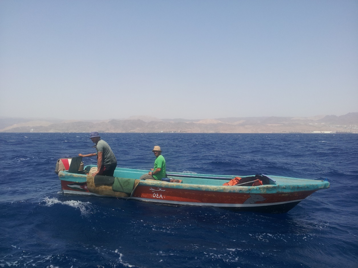 Supporting sustainable fisheries at the Gulf of Aqaba | The Switchers