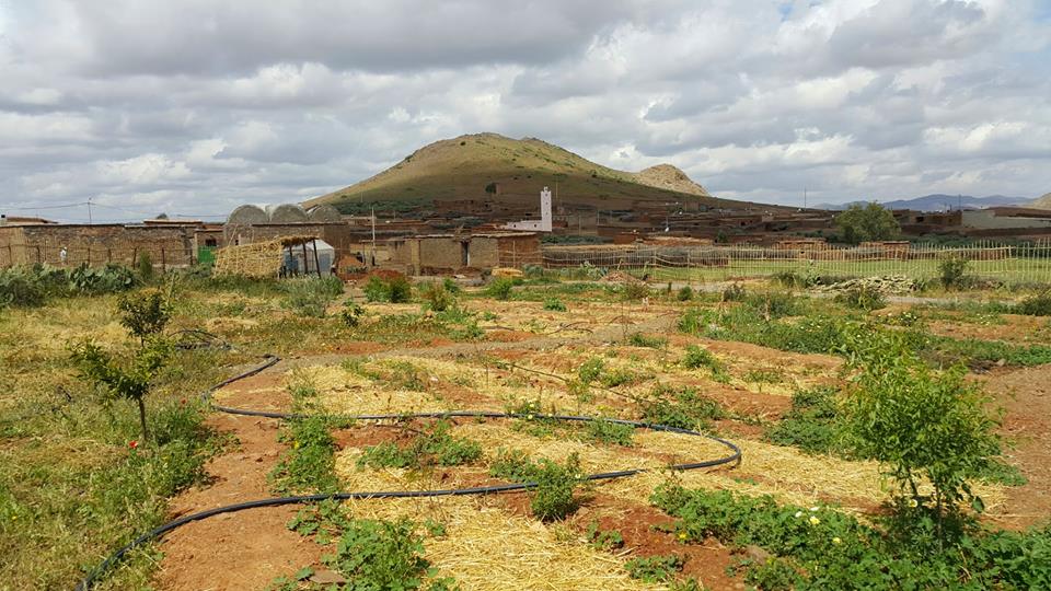 Combining Agroecology and Pedagogy in Morocco | The Switchers