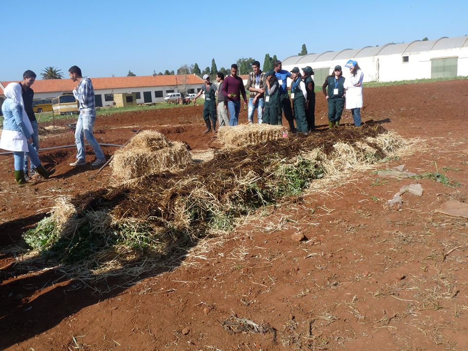 Combining Agroecology and Pedagogy in Morocco | The Switchers