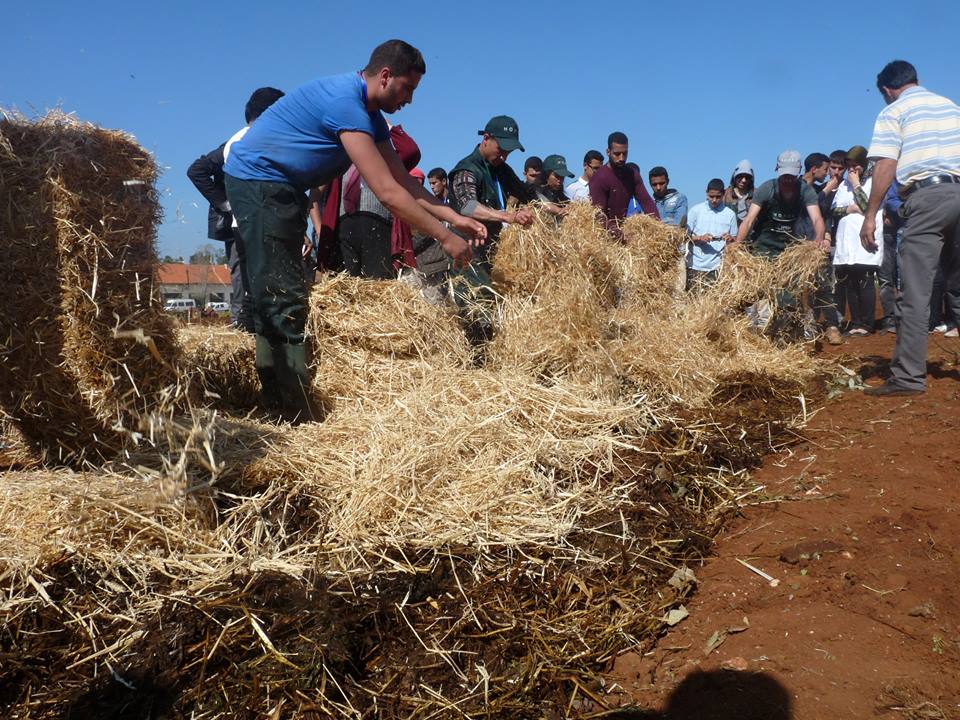 Combining Agroecology and Pedagogy in Morocco | The Switchers