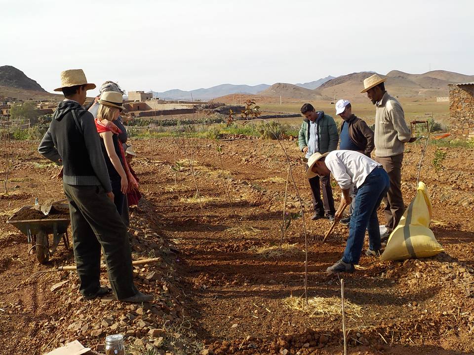 Combining Agroecology and Pedagogy in Morocco | The Switchers