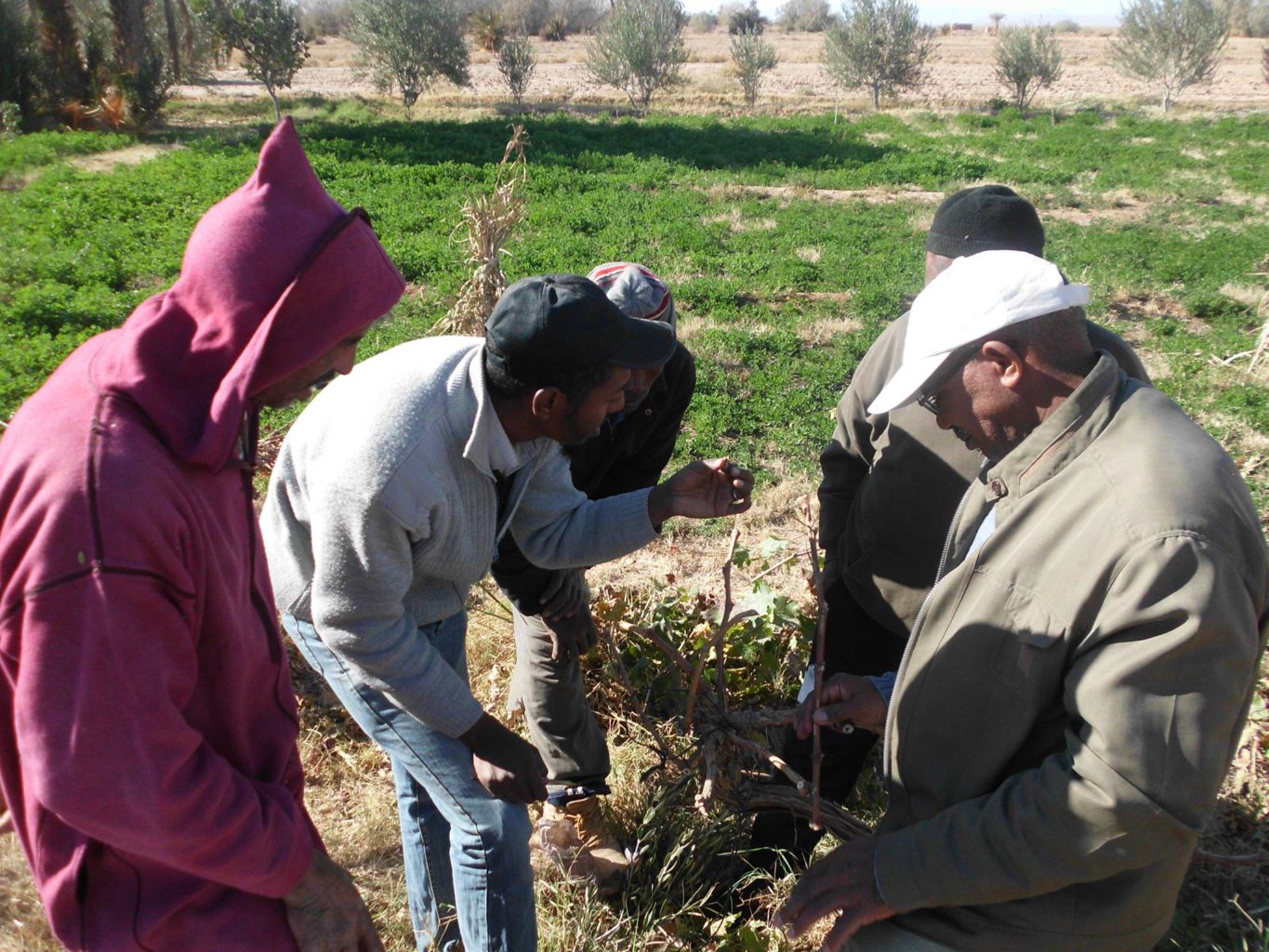 Combining Agroecology and Pedagogy in Morocco | The Switchers