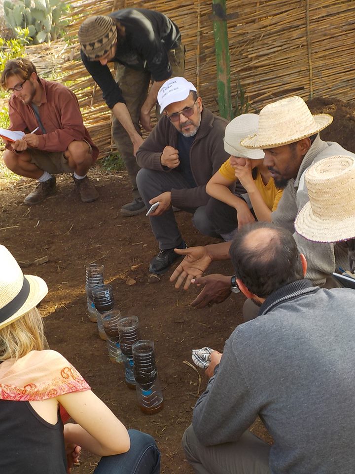 Combining Agroecology and Pedagogy in Morocco | The Switchers