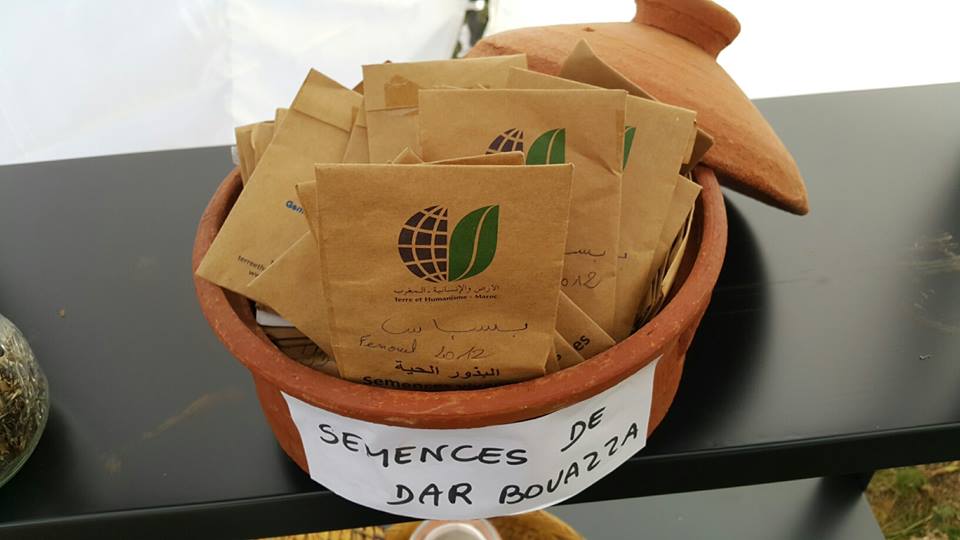 Combining Agroecology and Pedagogy in Morocco | The Switchers