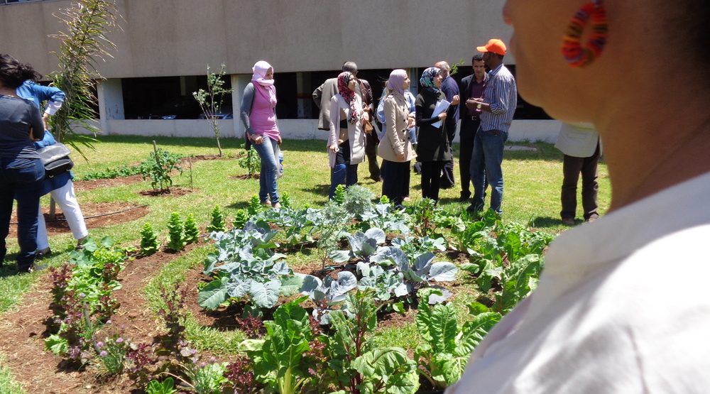 Combining Agroecology and Pedagogy in Morocco | The Switchers