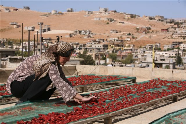 Vous souciez-vous de ce que vous apportez à votre table ? | The Switchers