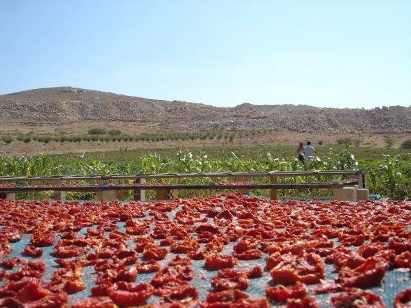 Vous souciez-vous de ce que vous apportez à votre table ? | The Switchers