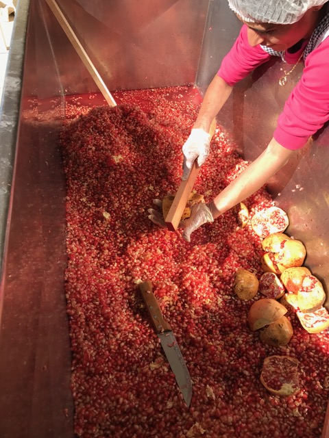 Vous souciez-vous de ce que vous apportez à votre table ? | The Switchers