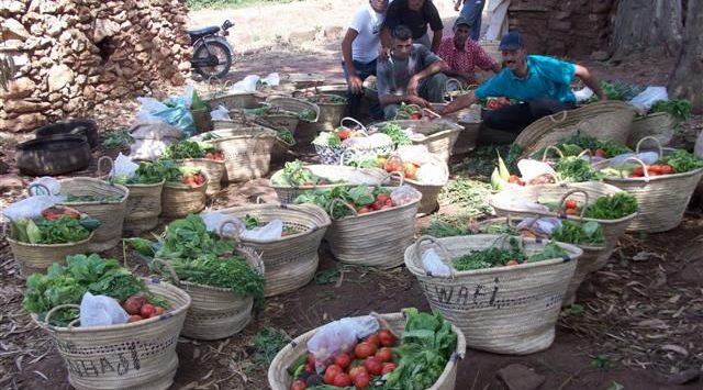 Combining Agroecology and Pedagogy in Morocco | The Switchers