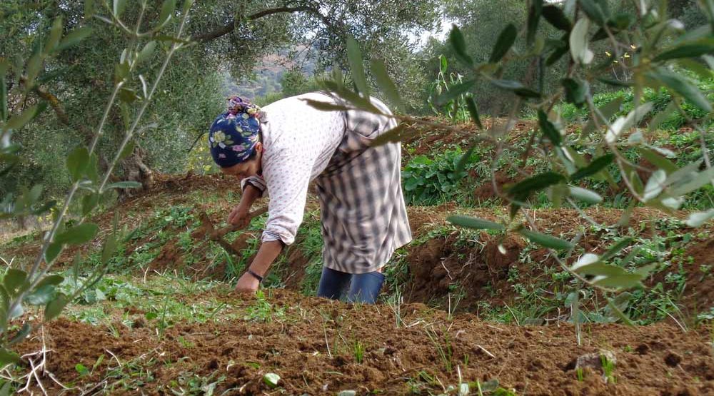 Combining Agroecology and Pedagogy in Morocco | The Switchers