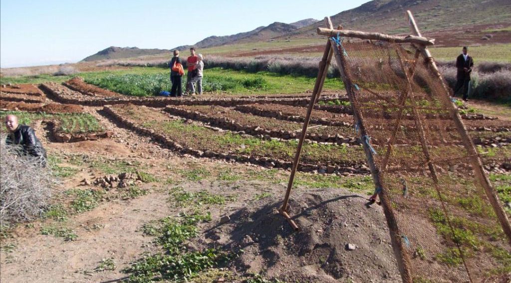 Combining Agroecology and Pedagogy in Morocco | The Switchers