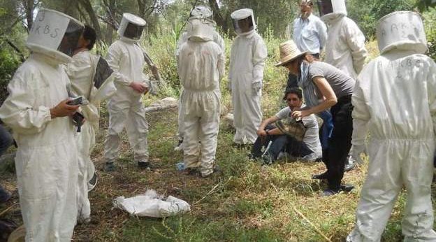 Combining Agroecology and Pedagogy in Morocco | The Switchers