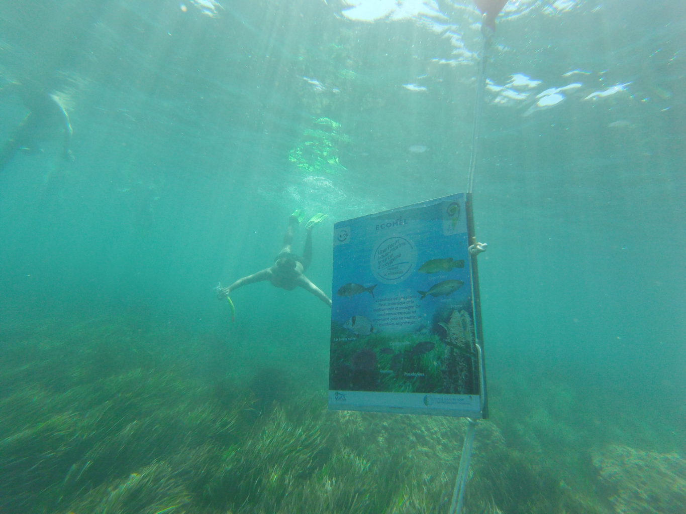 An underwater trail in Tunisia, a sustainable innovation. | The Switchers