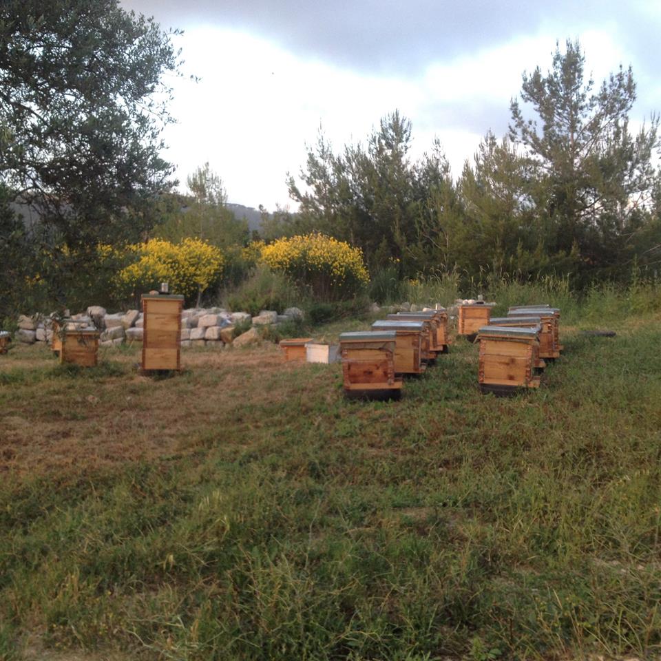 Can ancient farms be the key to a healthy future? | The Switchers