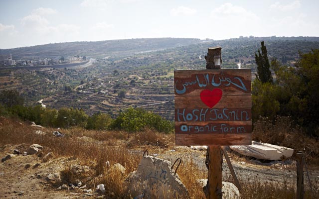 An Organic Farm-to-Table Cuisine on a hillside near Bethlehem | The Switchers