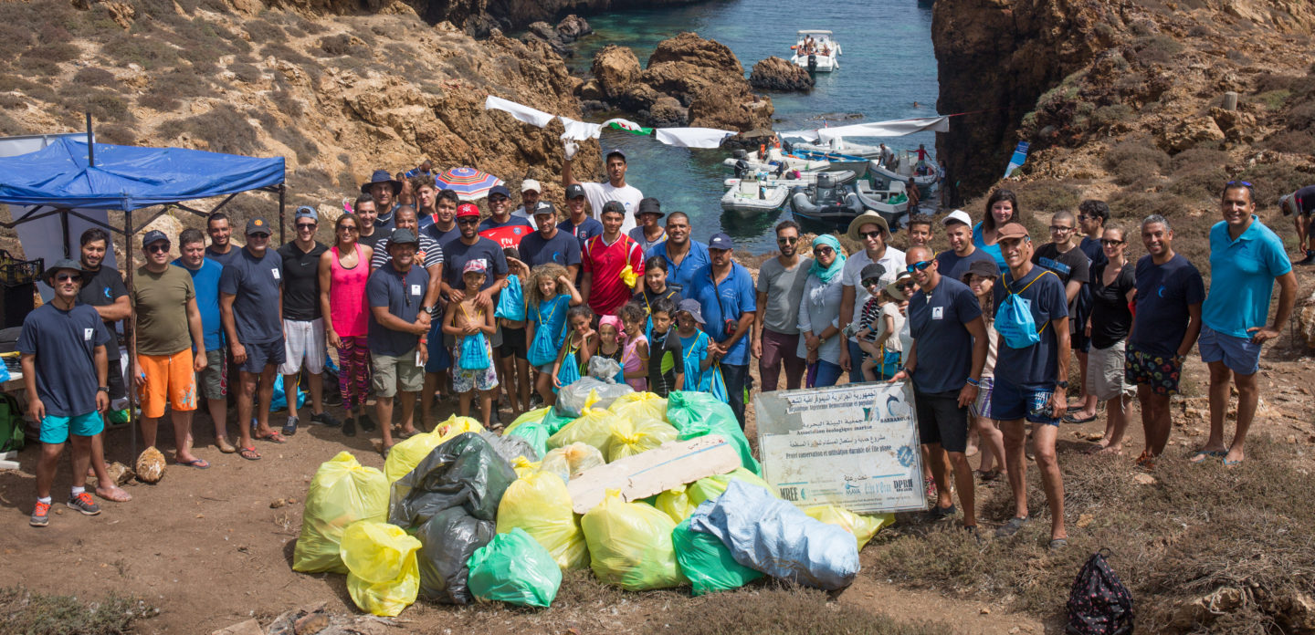 Sustainable Fishing and Conservation on Plane Island | The Switchers