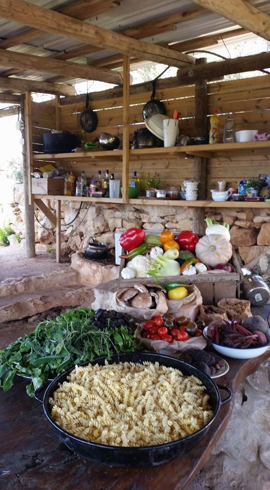 This farm is promoting sustainable tourism in Israel | The Switchers