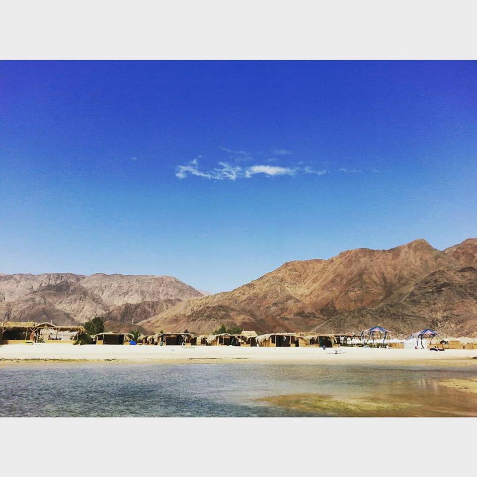 Tourism takes a sustainable turn in South Sinai | The Switchers