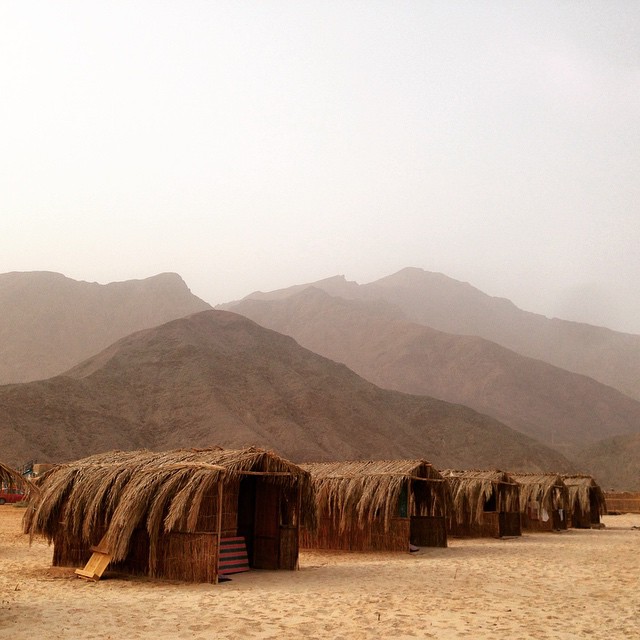 Tourism takes a sustainable turn in South Sinai | The Switchers