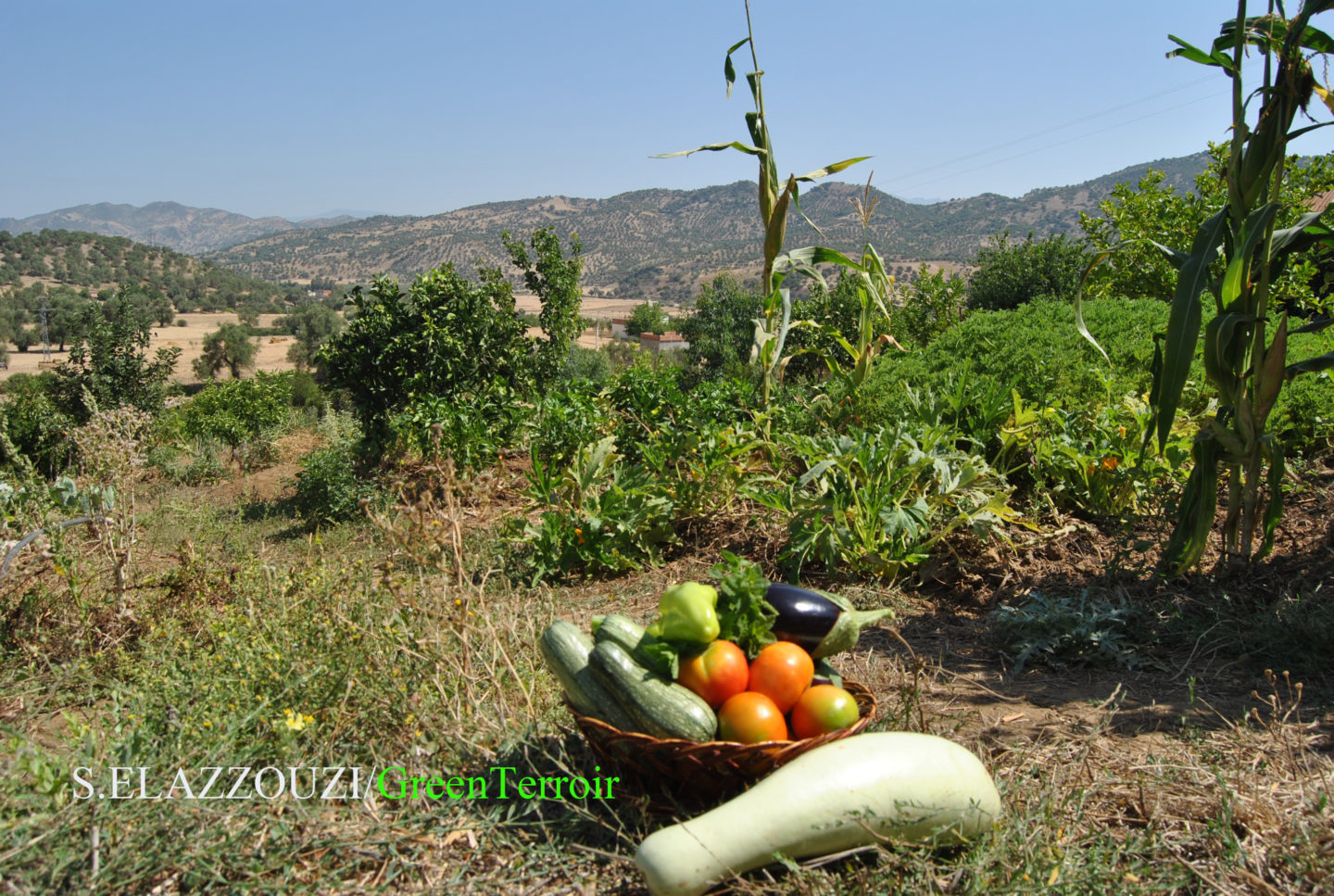 In Morocco, the valleys bridge gap for agritourism | The Switchers