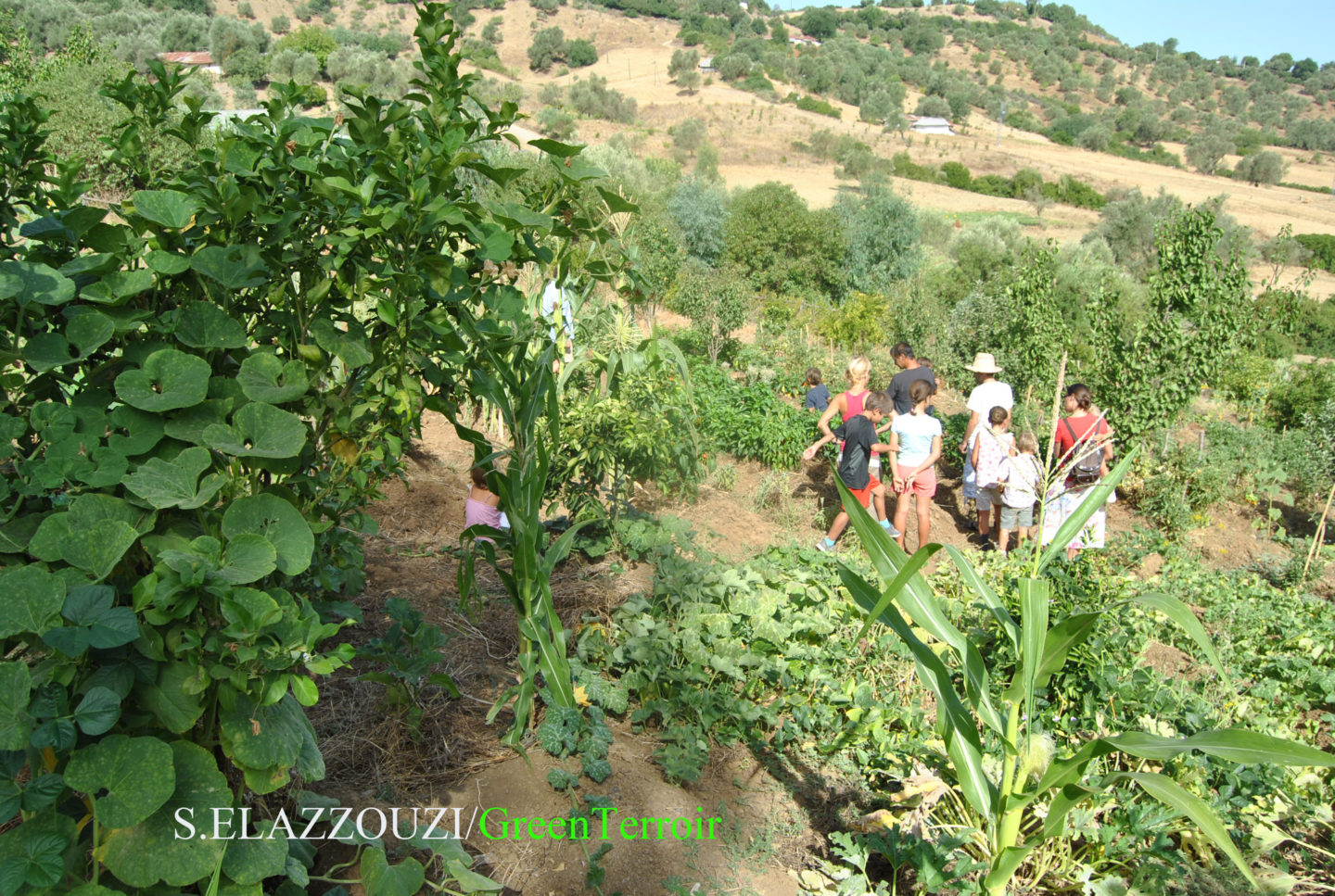 In Morocco, the valleys bridge gap for agritourism | The Switchers