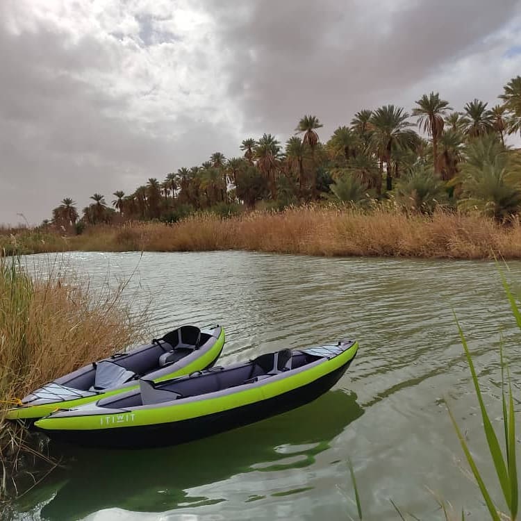 Le Sahara Méconnu de l’Algérie : Un Monde d’Aventures Durables à Découvrir | The Switchers