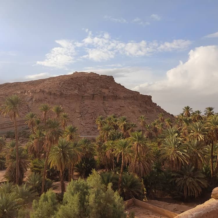 Le Sahara Méconnu de l’Algérie : Un Monde d’Aventures Durables à Découvrir | The Switchers