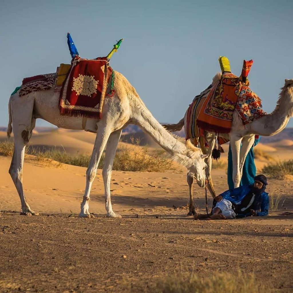 Le Sahara Méconnu de l’Algérie : Un Monde d’Aventures Durables à Découvrir | The Switchers