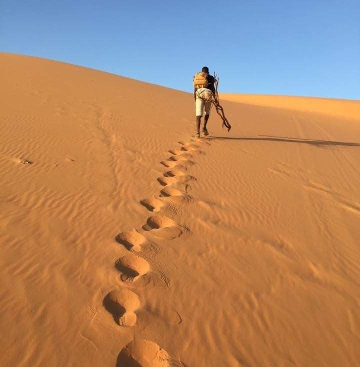 Le Sahara Méconnu de l’Algérie : Un Monde d’Aventures Durables à Découvrir | The Switchers