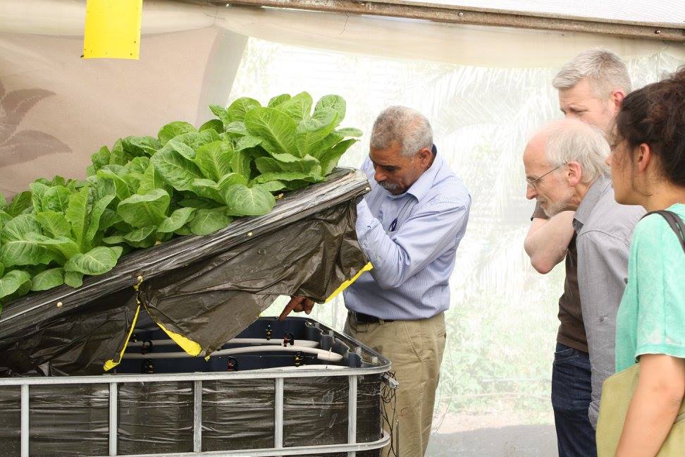 Permaculture practice strengthens roots in Palestine | The Switchers