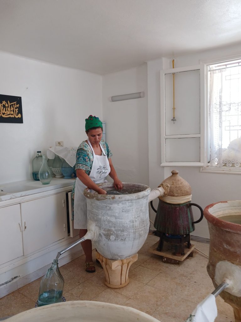 The Agritourism Initiative Transforming Lives in the Mediterranean | The Switchers