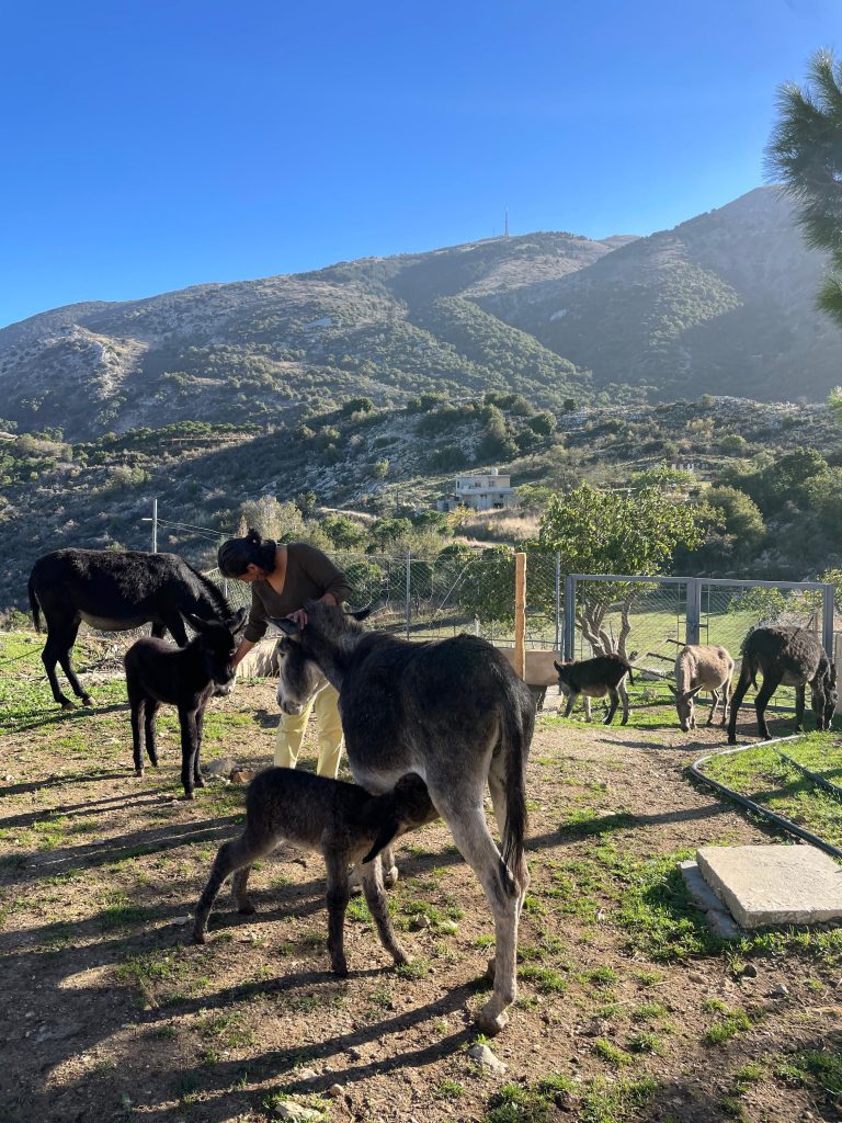 The Agritourism Initiative Transforming Lives in the Mediterranean | The Switchers