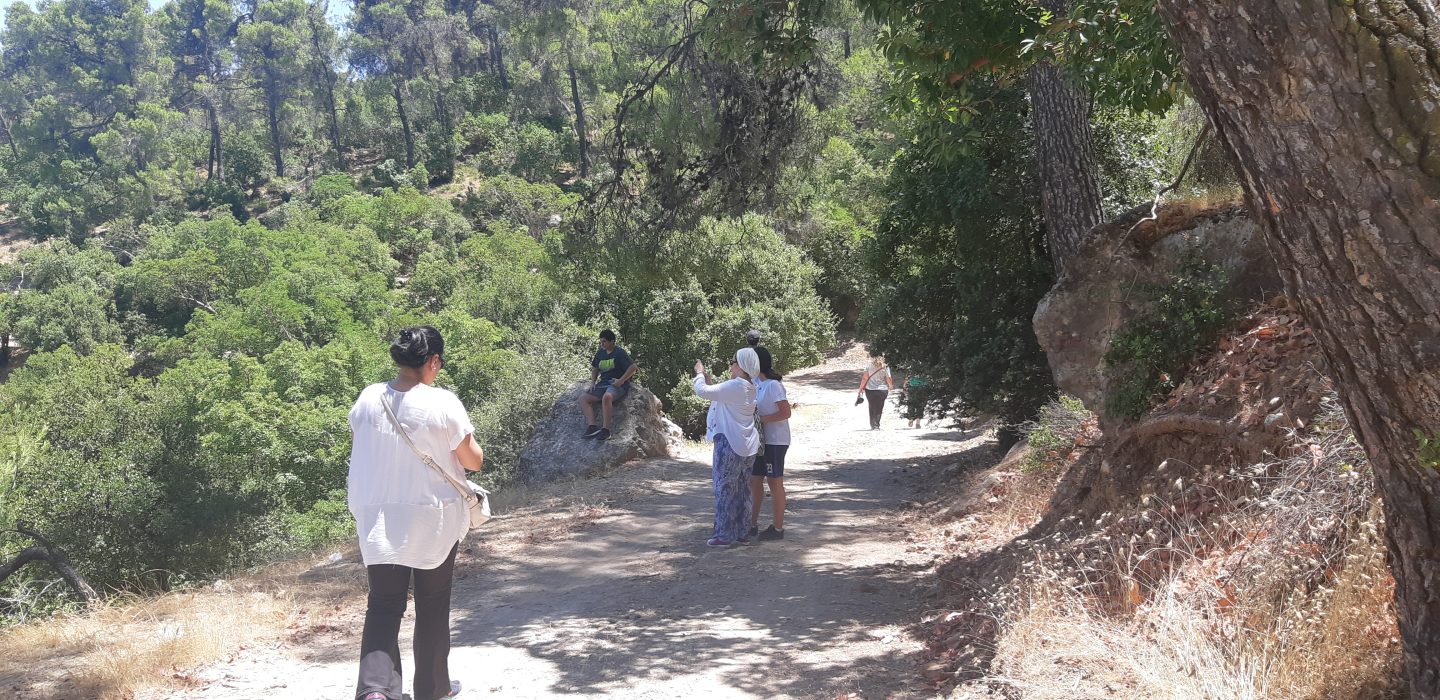 The Agritourism Initiative Transforming Lives in the Mediterranean | The Switchers