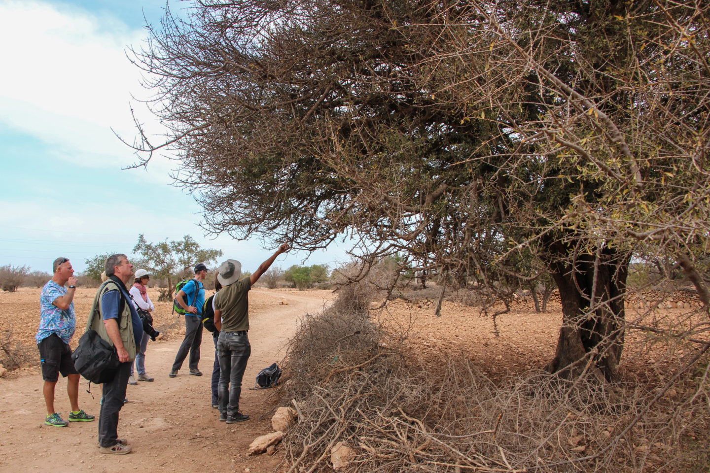 Take a walkabout in the Moroccan countryside with Essaouira’s only ecotourism company | The Switchers