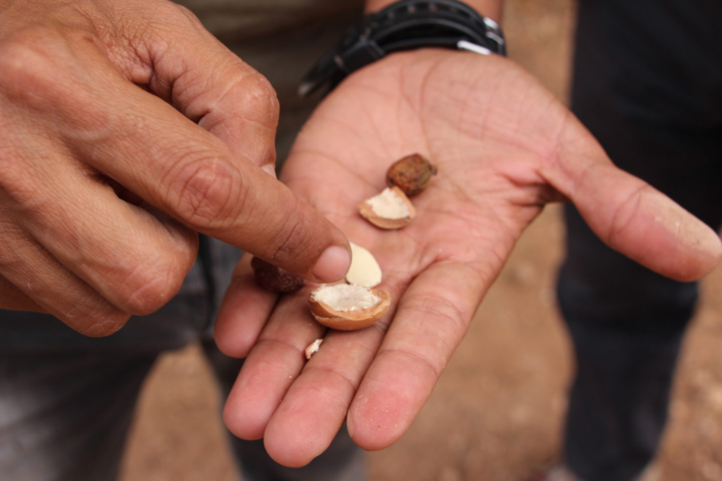 Take a walkabout in the Moroccan countryside with Essaouira’s only ecotourism company | The Switchers