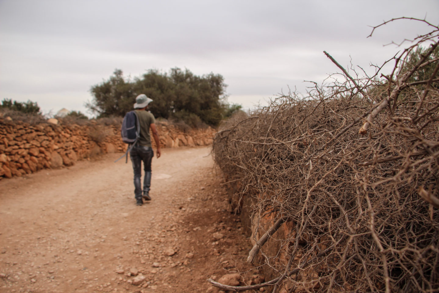 Take a walkabout in the Moroccan countryside with Essaouira’s only ecotourism company | The Switchers