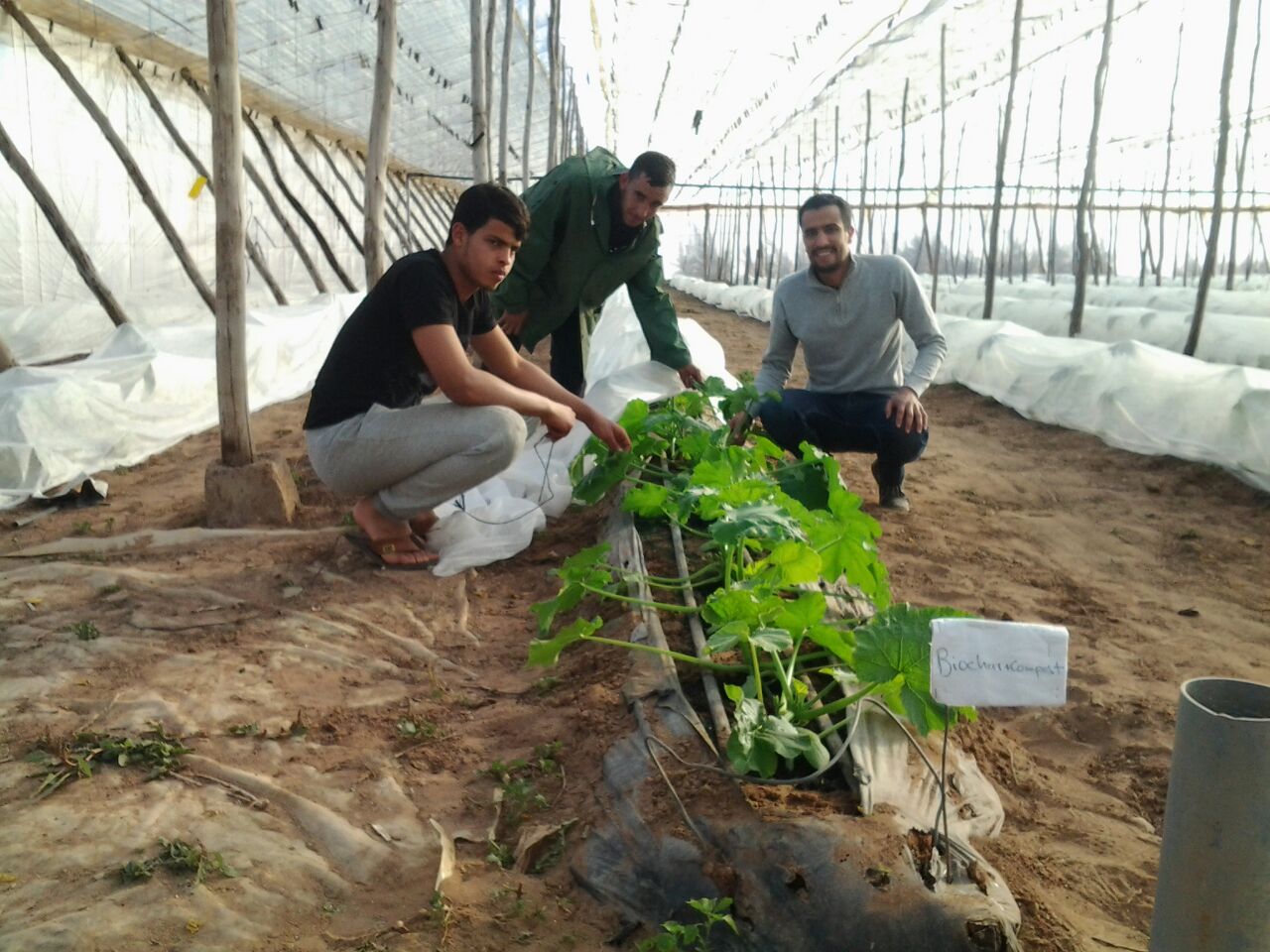 One Moroccan entrepreneur is changing the way farmers look at organic waste | The Switchers