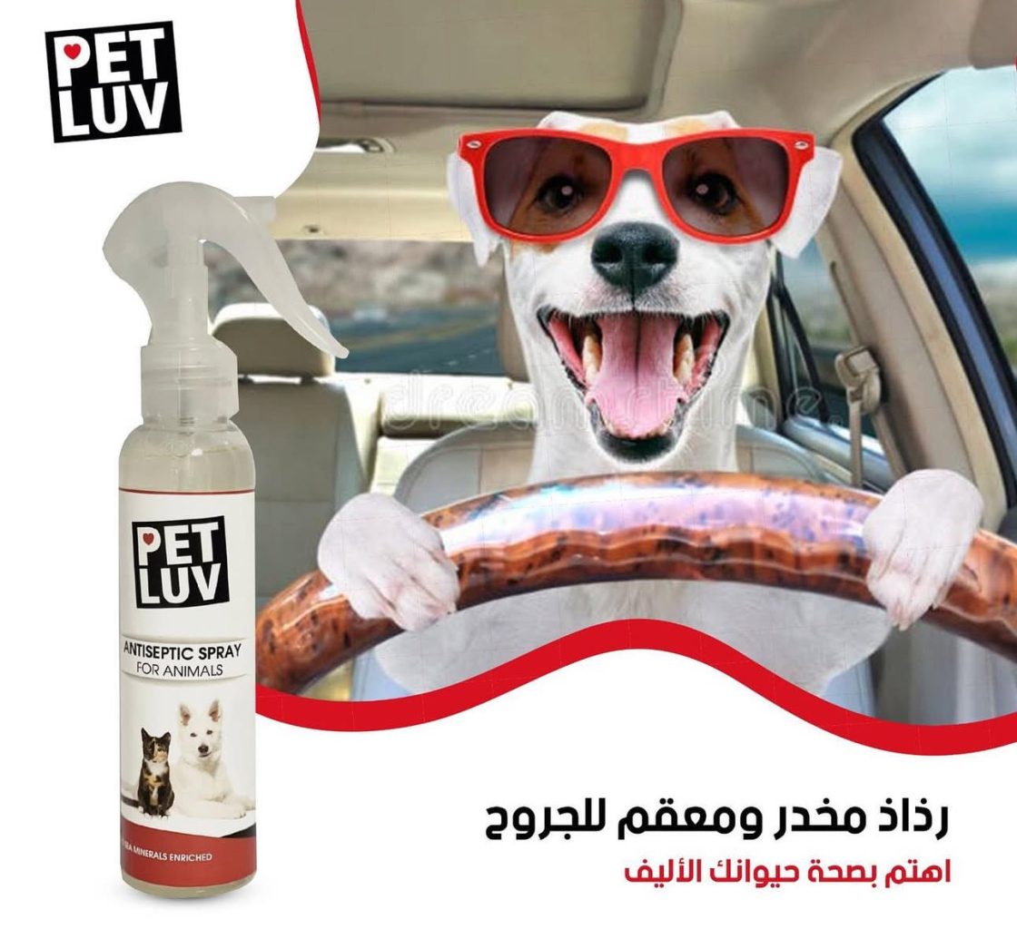 Palestine’s first all-natural cosmetics company sources from the Dead Sea | The Switchers