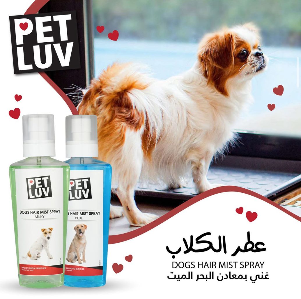 Palestine’s first all-natural cosmetics company sources from the Dead Sea | The Switchers