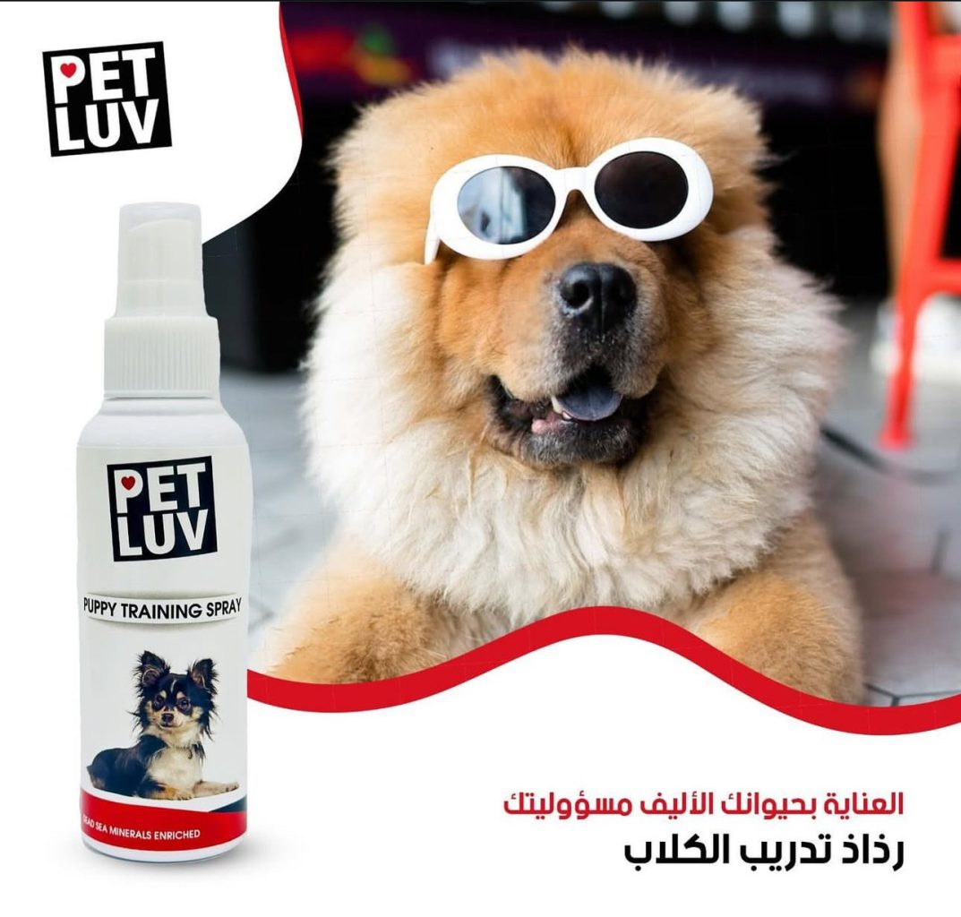 Palestine’s first all-natural cosmetics company sources from the Dead Sea | The Switchers