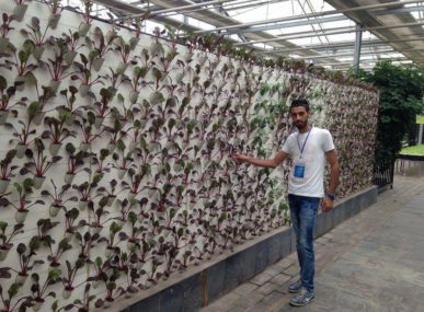 H2O Farm founder Basel Amarna with a vertical wall hydroponics system